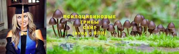молекула духа Краснослободск