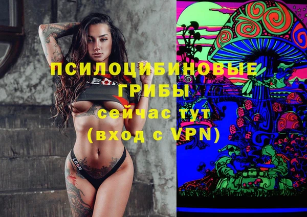 молекула духа Краснослободск