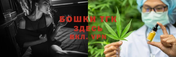 молекула духа Краснослободск