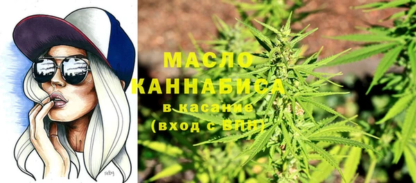 молекула духа Краснослободск