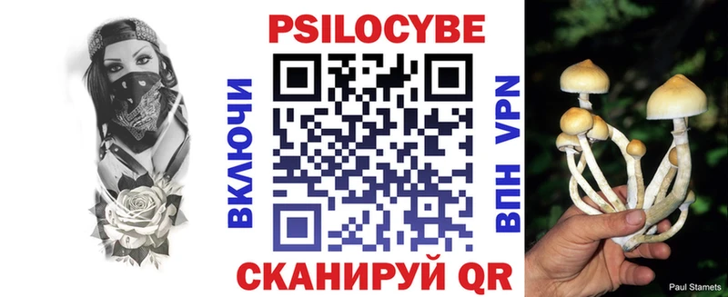 Купить где  Туринск  Псилоцибиновые грибы Cubensis 